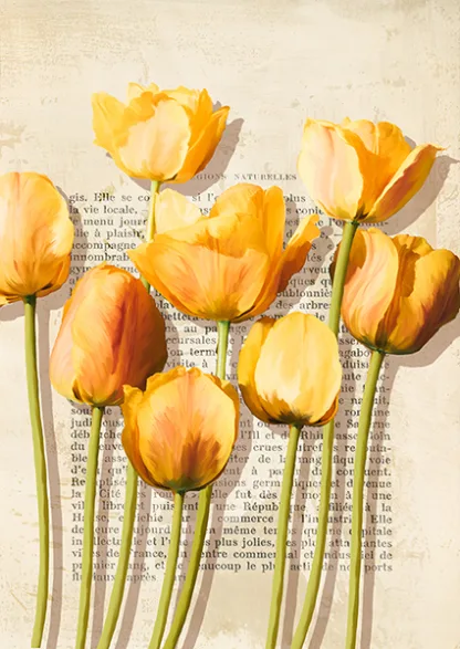 LUCA VILLA - Tulipes et Histories