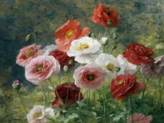 LOUIS MARIE LEMAIRE - Poppies