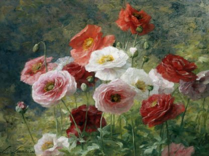 LOUIS MARIE LEMAIRE - Poppies