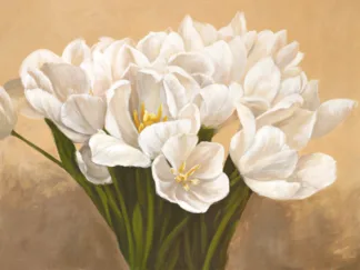 LEONARDO SANNA - Tulipes Blanches
