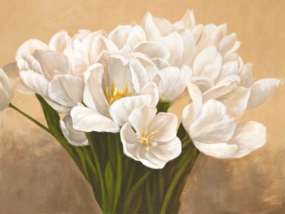 LEONARDO SANNA - Tulipes Blanches