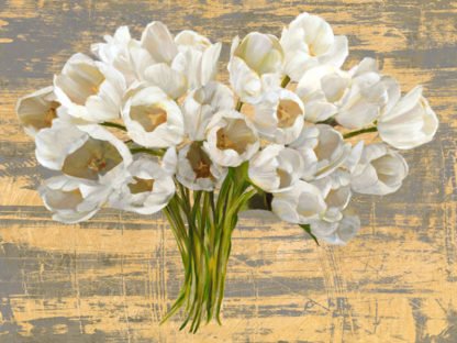 LEONARDO SANNA - Washed Tulips (Ash & Gold)