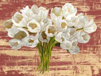 LEONARDO SANNA - Washed Tulips (Red & Gold)