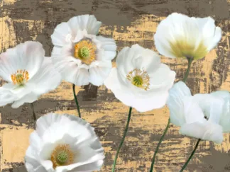LEONARDO SANNA - Washed Poppies (Ash & Gold)