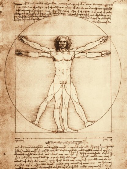 LEONARDO DA VINCI - Vitruvian Man