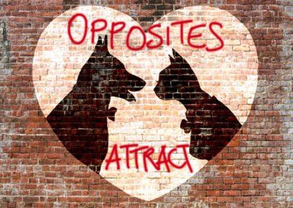 MASTERFUNK COLLECTIVE - Opposites Attract