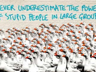 MASTERFUNK COLLECTIVE - Never Underestimate...