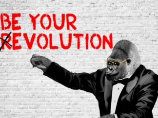 MASTERFUNK COLLECTIVE - (R/Evolution)