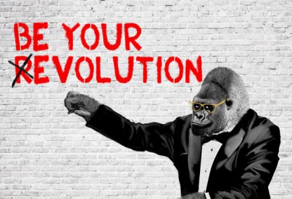 MASTERFUNK COLLECTIVE - (R/Evolution)