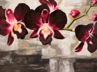SHIN MILLS - Velvet Orchids