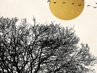 SAYAKA MIKO - Migrant Birds I