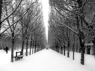 MICHEL SETBOUN - The Tuileries Garden Under the Snow, Paris