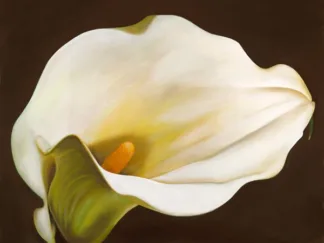 SERENA BIFFI - Calla
