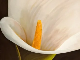SERENA BIFFI - Calla moderna II