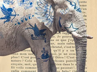 STEVEN HILL - Tattooed Savannah I