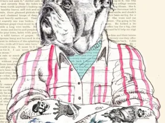 MATT SPENCER - Hipster Socialite