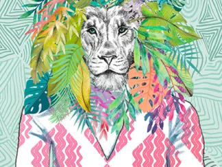 MATT SPENCER - King of the Jungle