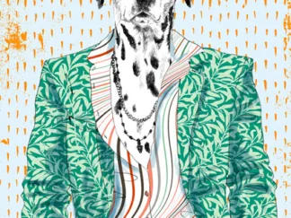 MATT SPENCER - The Bohemian