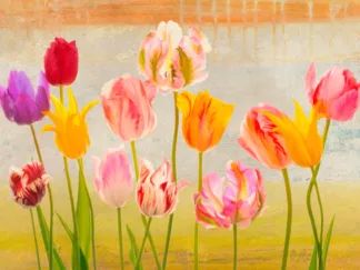 TEO RIZZARDI - Tulipani d'Estate