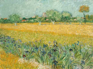 VINCENT VAN GOGH - Field with Irises near Arles