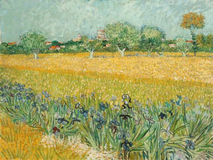 VINCENT VAN GOGH - Field with Irises near Arles