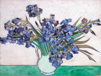 VINCENT VAN GOGH - Irises