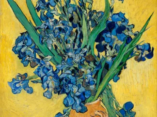 VINCENT VAN GOGH - Irises