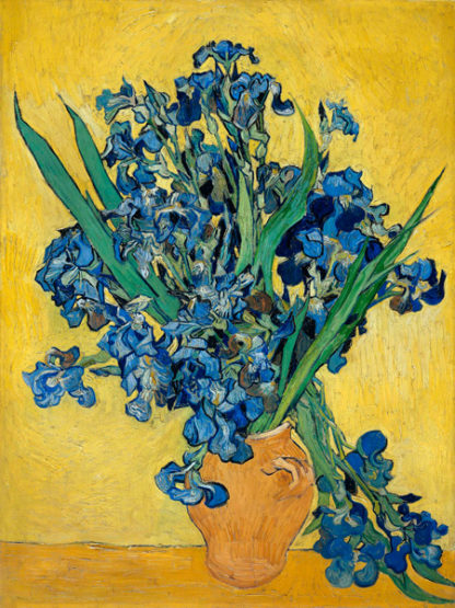 VINCENT VAN GOGH - Irises