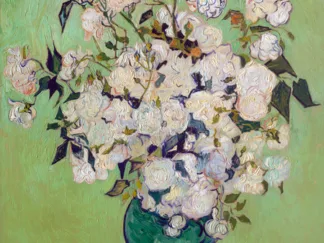 VINCENT VAN GOGH - Roses