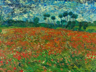 VINCENT VAN GOGH - Poppy Field