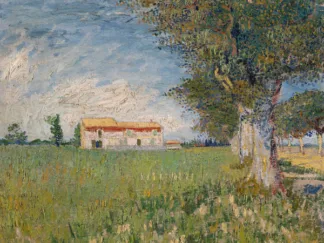 VINCENT VAN GOGH - Boerderij in een Korenveld