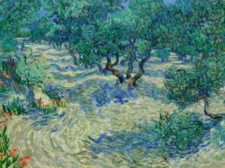VINCENT VAN GOGH - Olive Orchard