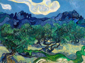 VINCENT VAN GOGH - The Olive Trees