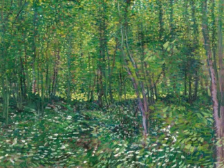 VINCENT VAN GOGH - Trees and Undergrowth