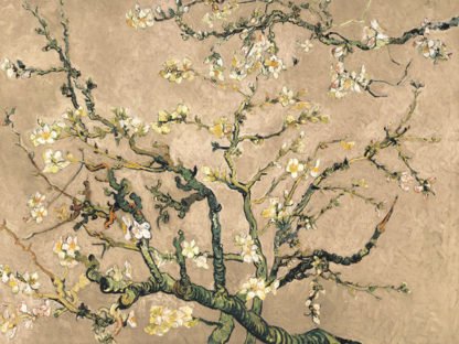 VINCENT VAN GOGH DECO - Mandorlo in Fiore Beige