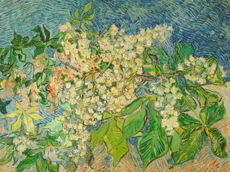 VINCENT VAN GOGH - Blossoming Chestnut Branch