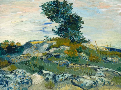 VINCENT VAN GOGH - The Rocks