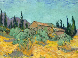 VINCENT VAN GOGH - Cabanes de bois parmi les oliviers et cypress