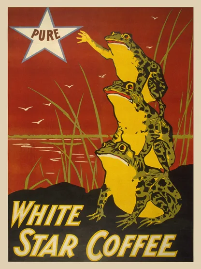 ANONYMOUS - White Star Coffee, 1899