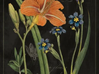 SUE SCHLABACH - Vintage Flora II