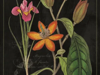 SUE SCHLABACH - Vintage Flora III