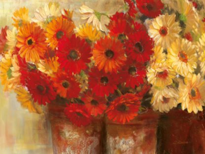 CAROL ROWAN - Chelsea Gerberas