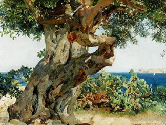 JOAQUIN SOROLLA Y BASTIDA - Algarrobo