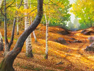 ADRIANO GALASSO - Sentiero nel Bosco