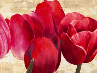 CYNTHIA ANN - Red Tulips