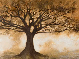 LEONARDO BACCI - Naturalia