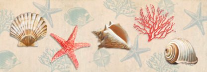 TED BROOME - Gifts From the Ocean