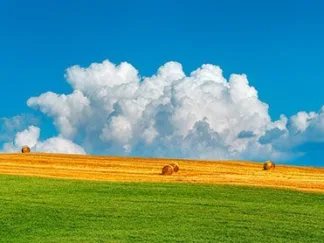 FRANK KRAHMER - Corn Field Harvested, Tuscany, Italy