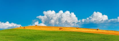 FRANK KRAHMER - Corn Field Harvested, Tuscany, Italy