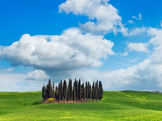 FRANK KRAHMER - Cypresses, Val d'Orcia, Tuscany